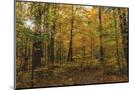 Wood Mount