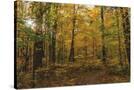 Stretched Canvas