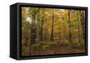 Canvas Black