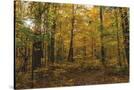 Stretched Canvas