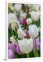 Gramercy White