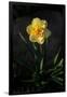 Gramercy Black