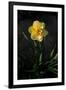 Gramercy Black