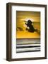 Kuta, Sundown with Clouds at the Kuta Beach-Christoph Mohr-Framed Photographic Print