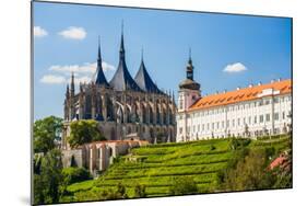 Kutna Hora, Czech Republic. Church of Saint Barbara.-Marcin Lukaszewicz-Mounted Photographic Print