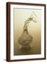Brown Frame