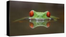 Burning Eyes-Kutub Uddin-Stretched Canvas