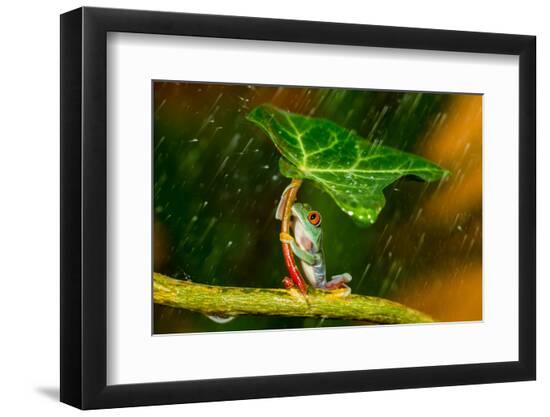 Premium Photographic Print, , large