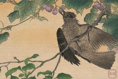 Bird Eating a Grape-Kuwagata Kesai-Stretched Canvas