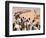 Kuwait Refugees Wait for Bread 1990-Jeff Widener-Framed Photographic Print