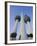 Kuwait Towers, Kuwait City, Kuwait-Walter Bibikow-Framed Photographic Print