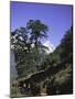 Kwandge Ri Landscape, Nepal-Michael Brown-Mounted Photographic Print