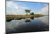 Kwando River-benshots-Mounted Photographic Print