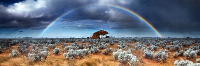 Rainbow in the Australian Desert-kwest19-Photographic Print