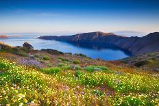 Wildflowers on Santorini-kwest19-Photographic Print