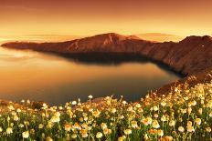 Wildflowers on Santorini-kwest19-Photographic Print