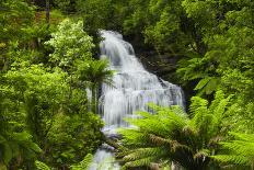 Waterfall in Victoria, Australia-kwest19-Photographic Print