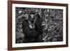 Kwitonda Silverback-Karen Lunney-Framed Photographic Print