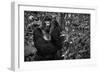 Kwitonda Silverback-Karen Lunney-Framed Photographic Print