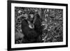 Kwitonda Silverback-Karen Lunney-Framed Photographic Print