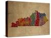 KY Colorful Counties-Red Atlas Designs-Stretched Canvas