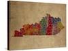 KY Colorful Counties-Red Atlas Designs-Stretched Canvas