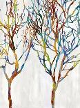 Branches II-Kyle Webster-Stretched Canvas