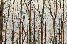 Branches II-Kyle Webster-Stretched Canvas