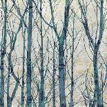 Branches II-Kyle Webster-Stretched Canvas