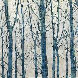 Through The Trees - Blue II-Kyle Webster-Framed Art Print