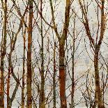 Branches II-Kyle Webster-Stretched Canvas