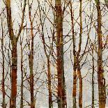 Branches II-Kyle Webster-Stretched Canvas