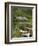 Kylemore Abbey, Connemara, County Galway, Connacht, Republic of Ireland-Gary Cook-Framed Photographic Print