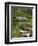 Kylemore Abbey, Connemara, County Galway, Connacht, Republic of Ireland-Gary Cook-Framed Photographic Print