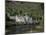 Kylemore Abbey, County Galway, Connacht, Eire (Republic of Ireland)-Roy Rainford-Mounted Photographic Print