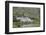 Kylemore Abby-Hal Beral-Framed Photographic Print