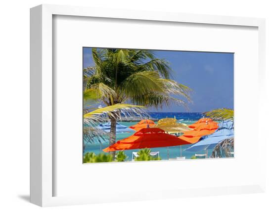 Framed Photographic Print, , large