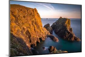 Kynance Cove in late evening, Lizard National Nature Reserve, Lizard Peninsula, England-Andrew Michael-Mounted Photographic Print