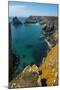 Kynance Cove on the Lizard Peninsula, Cornwall, England, United Kingdom, Europe-Alex Treadway-Mounted Photographic Print