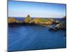 Kynance Cove, the Lizard, Cornwall, England, United Kingdom, Europe-Jeremy Lightfoot-Mounted Photographic Print