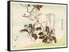 Kyosai Rakuga - Bird and Flowers-Kyosai Kawanabe-Framed Stretched Canvas