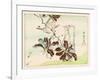 Kyosai Rakuga - Bird and Flowers-Kyosai Kawanabe-Framed Giclee Print