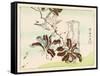 Kyosai Rakuga - Bird and Flowers-Kyosai Kawanabe-Framed Stretched Canvas