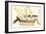 Kyosai Rakuga - Catfish-Kyosai Kawanabe-Framed Giclee Print