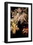 Kyoto in Spring, Cherry Blossoms in the Evening-Takashi Kirita-Framed Art Print