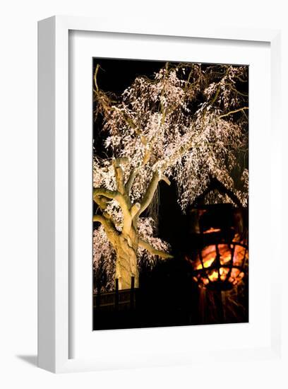 Kyoto in Spring, Cherry Blossoms in the Evening-Takashi Kirita-Framed Art Print