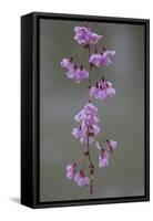 Kyoto Japan 4-Art Wolfe-Framed Stretched Canvas