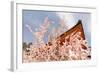 Kyoto, JAPAN - APRIL 19Th : Pink Paper Pray for Good Luck Tied on a Dry Twig in Heian Jingu Shrine,-elwynn-Framed Photographic Print