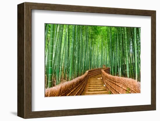 Kyoto, Japan at the Bamboo Forest.-SeanPavonePhoto-Framed Photographic Print