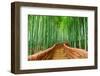 Kyoto, Japan at the Bamboo Forest.-SeanPavonePhoto-Framed Photographic Print